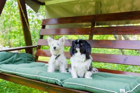 Poppelstrand Nuuksio, Pet Friendly Guest Apartment Ngoại thất bức ảnh